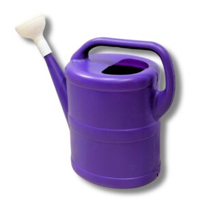 DESES REGADERA 9lts.