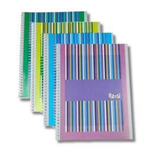 POTOSI CUAD. ES. 29,7 80 HOJAS