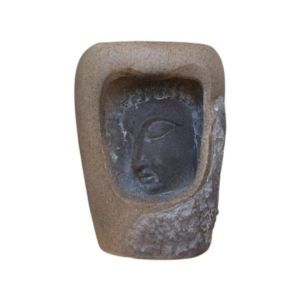 FUENTE BUDA LLUVIA C/LED 24cm